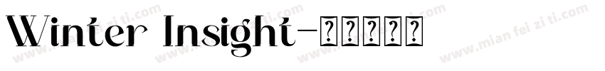 Winter Insight字体转换